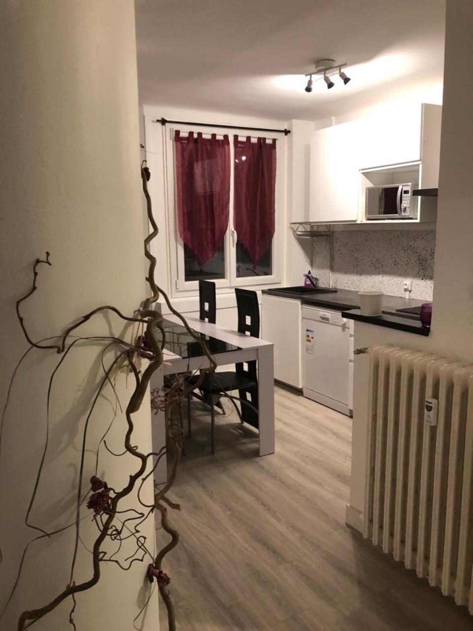 Ferienwohnung Dupuy T3 Aseptise Toulouse Exterior foto